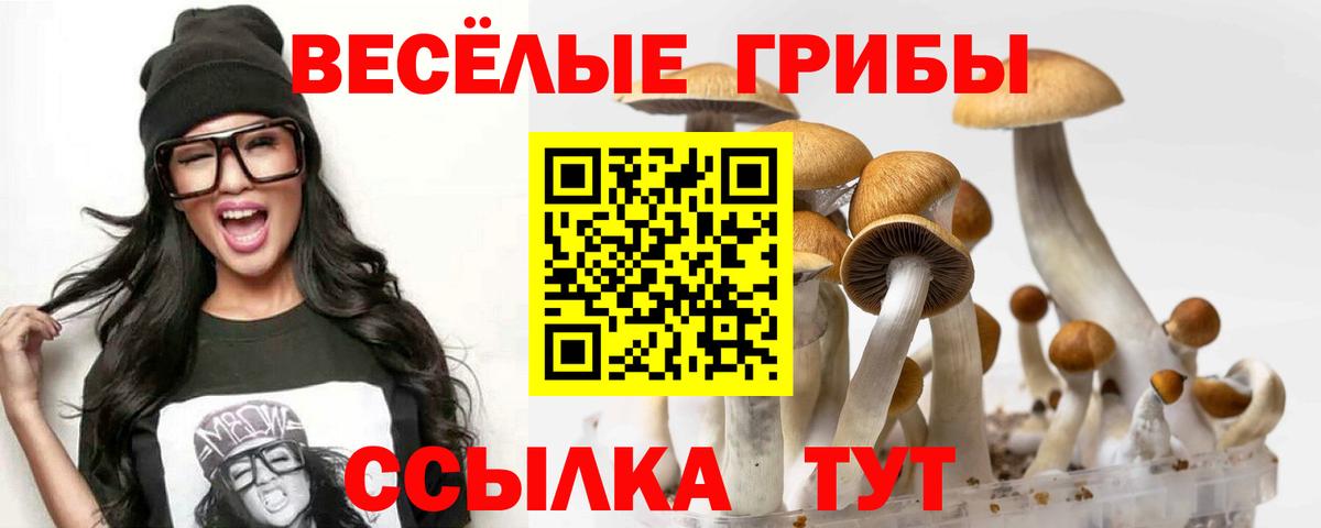 купить наркотики сайты  Вход с VPN  Краснодар  Псилоцибиновые грибы мухоморы 